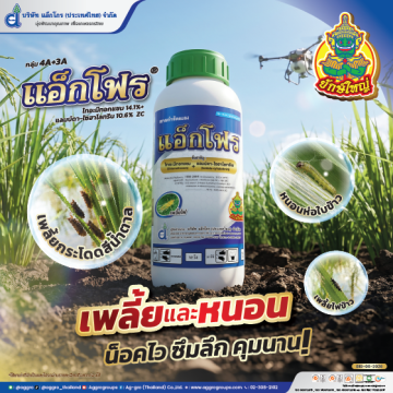 แอ็กโฟร